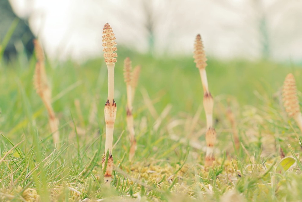 鉄骨-照明鉄塔・無線鉄塔|北陸建工グループ | Future−鉄でつくる未来−