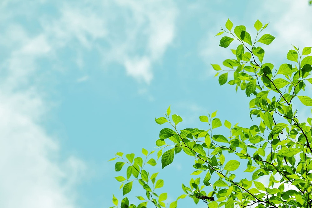 鉄骨-照明鉄塔・無線鉄塔|北陸建工グループ | Future−鉄でつくる未来−