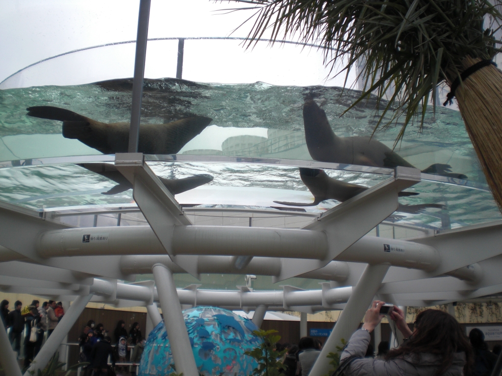サンシャイン水族館|北陸建工グループ | Future−鉄でつくる未来−